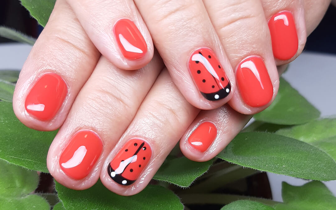 Minta, állatos minta, logók, kötött pulcsi minta, akvarell, köröm, műköröm, szalon, Budapest 1. kerület, Elite Nails, Tarjányi Csaba